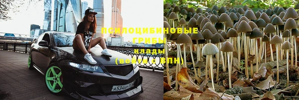 кокс Алзамай